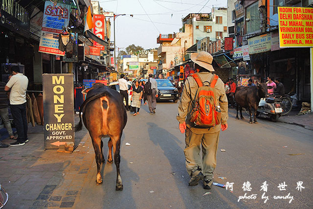 deli3-redfort-jamamasjidP7700 243.JPG deli3-redfort-jamamasjidP7700 243.JPG