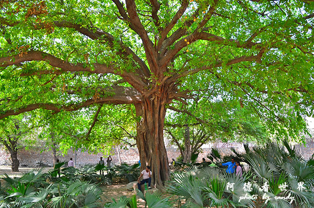 qutub-gurudwaraD7000 102.JPG