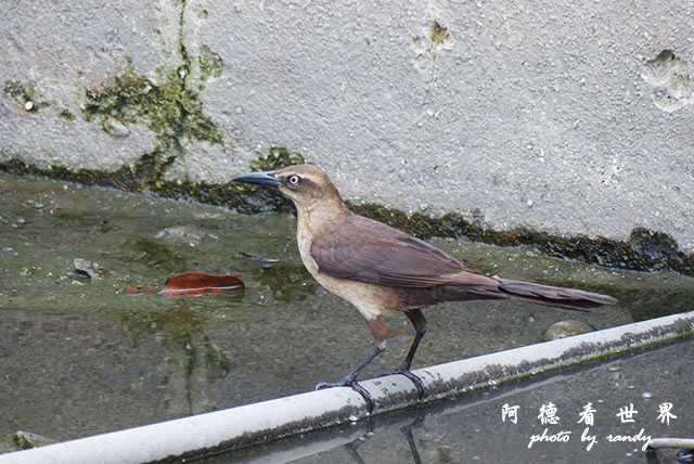 cartagena2FZ200 (14).JPG cartagena2FZ200 (14).JPG