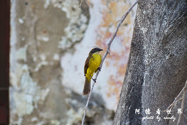 cartagena2FZ200 (30).JPG cartagena2FZ200 (30).JPG