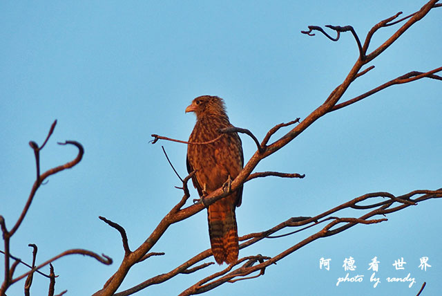 cartagena2FZ200 (41).JPG cartagena2FZ200 (41).JPG