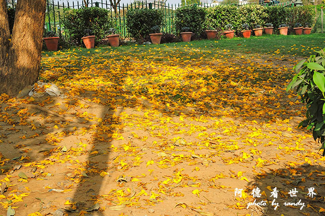 deli2-qutub-gurudwaraP7700 182.JPG deli2-qutub-gurudwaraP7700 182.JPG