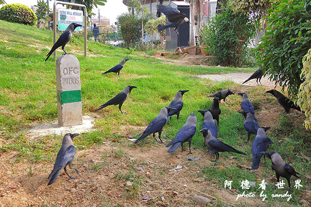 deli2-qutub-gurudwaraP7700 180.JPG deli2-qutub-gurudwaraP7700 180.JPG