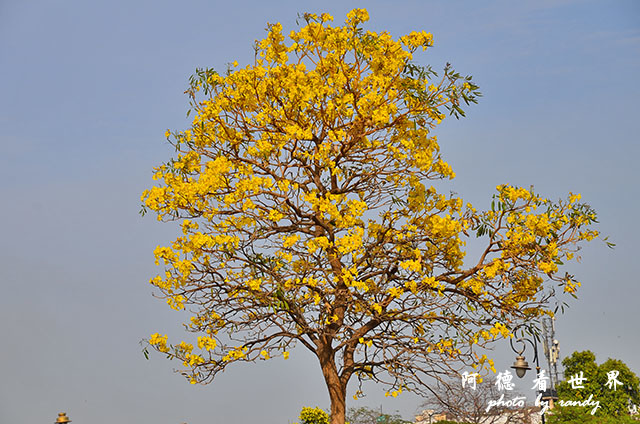 qutub-gurudwaraD7000 163.JPG