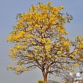 qutub-gurudwaraD7000 163.JPG