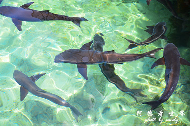 cartagena3D7000 068.JPG cartagena3D7000 068.JPG