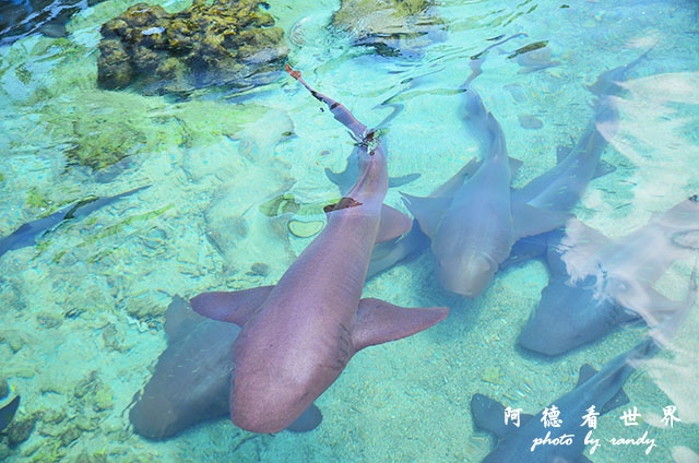 cartagena3D7000 084.JPG cartagena3D7000 084.JPG