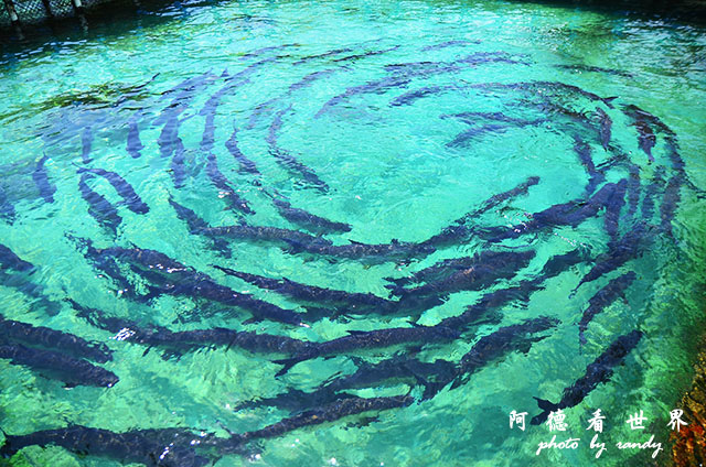 cartagena3D7000 095.JPG cartagena3D7000 095.JPG