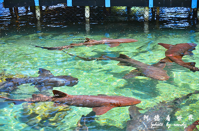 cartagena3D7000 108.JPG cartagena3D7000 108.JPG