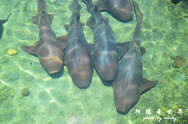 cartagena3D7000 128.JPG cartagena3D7000 128.JPG