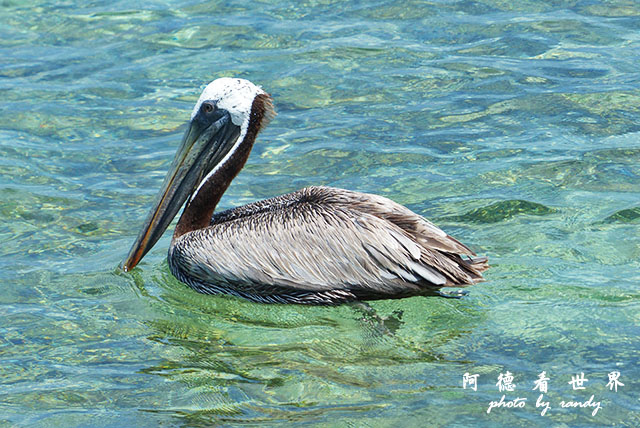 cartagena3FZ200 (66).JPG cartagena3FZ200 (66).JPG