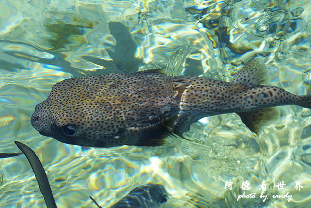 cartagena3FZ200 (73).JPG cartagena3FZ200 (73).JPG