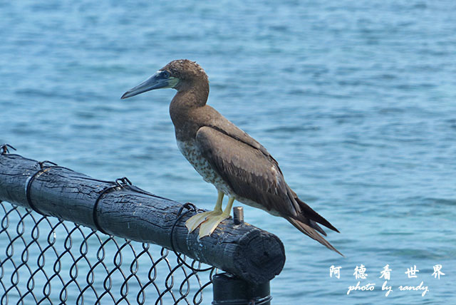 cartagena3FZ200 (63).JPG cartagena3FZ200 (63).JPG