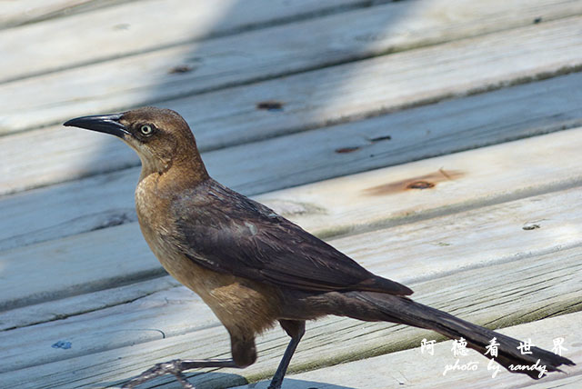 cartagena3FZ200 (79).JPG cartagena3FZ200 (79).JPG