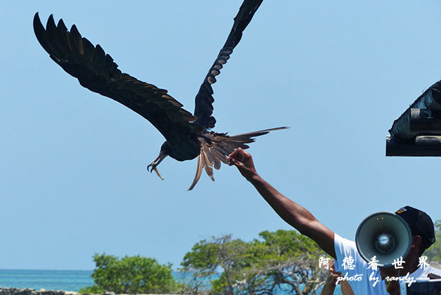 cartagena3FZ200 (92).JPG cartagena3FZ200 (92).JPG