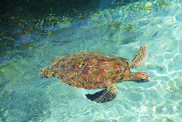 cartagena3FZ200 (88).JPG cartagena3FZ200 (88).JPG