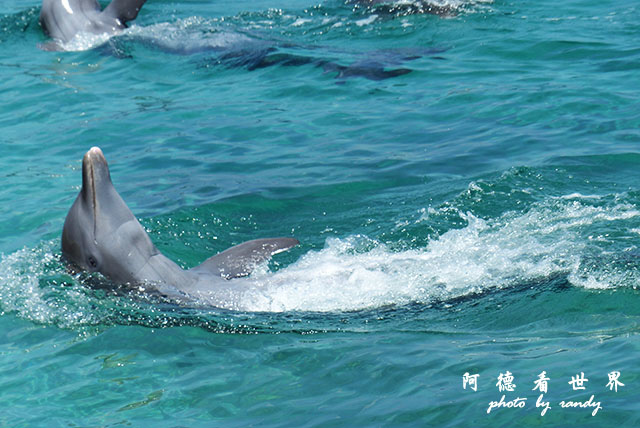 cartagena3FZ200 (138).JPG cartagena3FZ200 (138).JPG