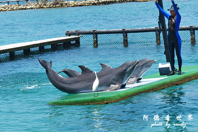 cartagena3FZ200 (133).JPG cartagena3FZ200 (133).JPG