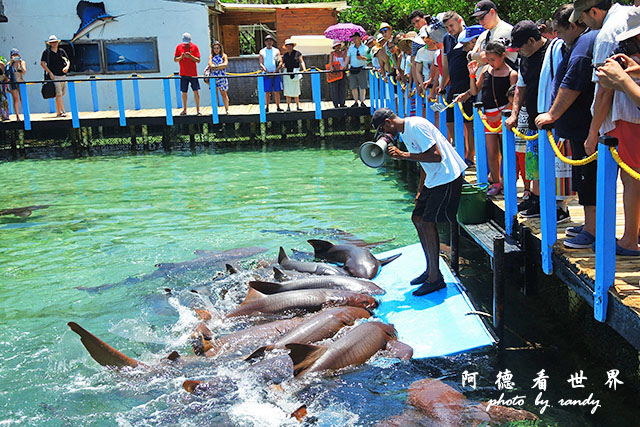 cartagena3P7700 130.JPG cartagena3P7700 130.JPG