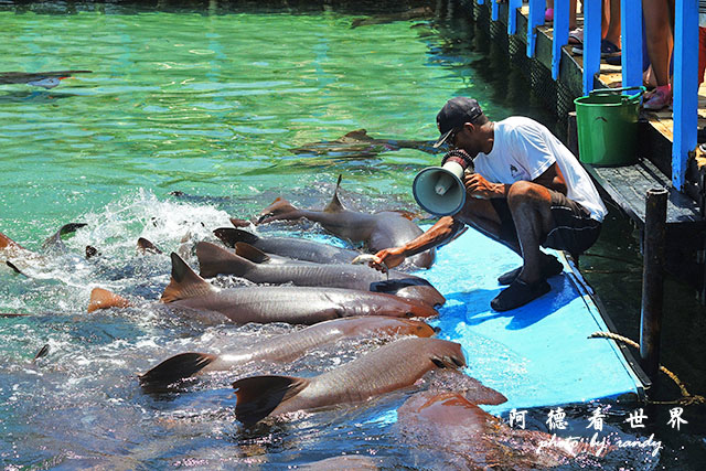 cartagena3P7700 131.JPG cartagena3P7700 131.JPG