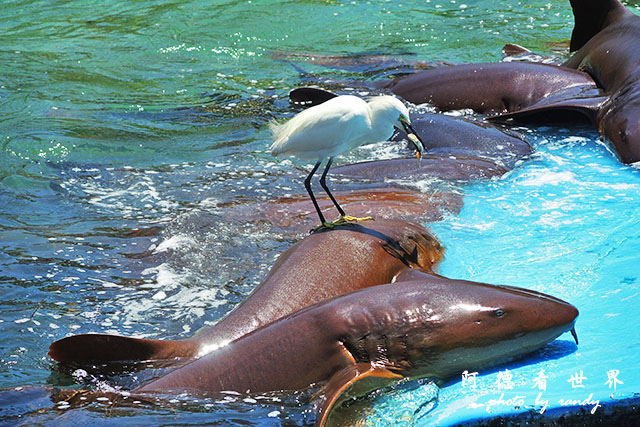 cartagena3P7700 134.JPG cartagena3P7700 134.JPG