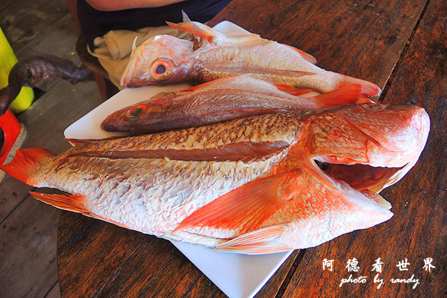 cartagena3P7700 172.JPG cartagena3P7700 172.JPG