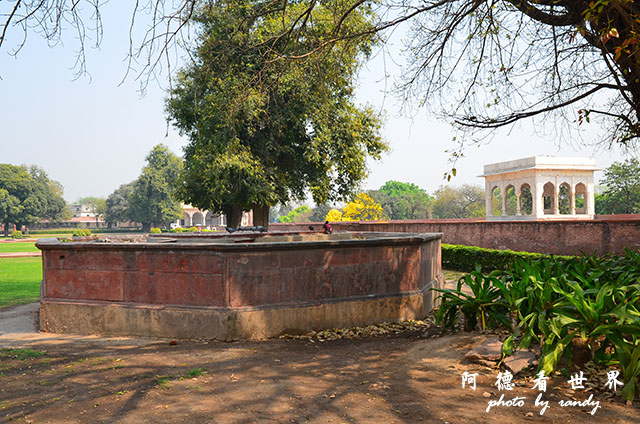 deli3-redfort-jamamasjidD7000 076.JPG