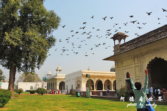 deli3-redfort-jamamasjidP7700 068.JPG