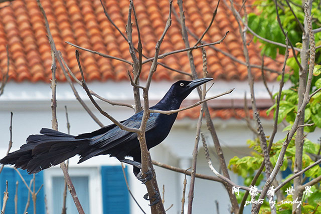 cartagena4FZ200 (3).JPG cartagena4FZ200 (3).JPG