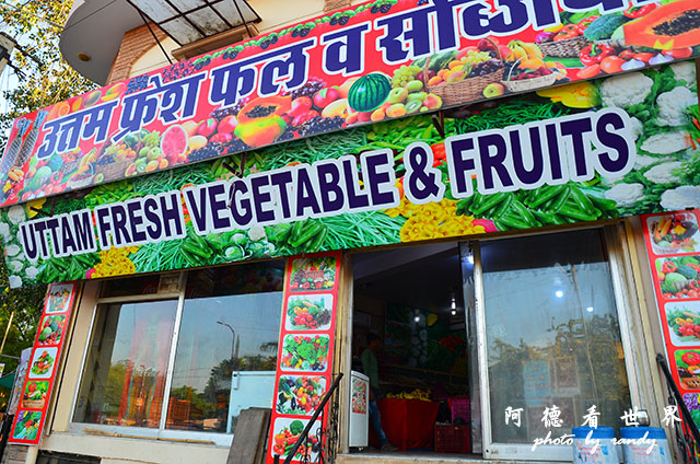 jodhpur1-2-mehrangarhD7000 288.JPG jodhpur1-2-mehrangarhD7000 288.JPG