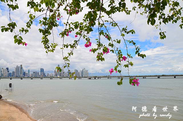 panama1D7000 149.JPG panama1D7000 149.JPG