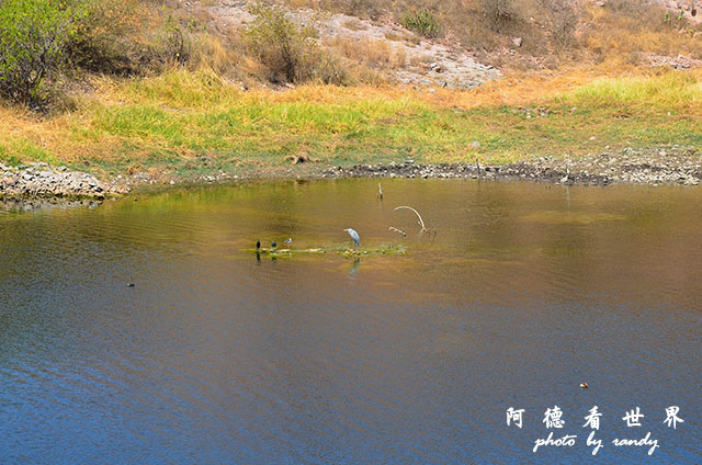 jodhpur1-2-mehrangarhD7000 192.JPG jodhpur1-2-mehrangarhD7000 192.JPG