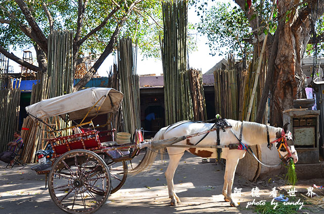 jodhpur1-2-mehrangarhD7000 245.JPG jodhpur1-2-mehrangarhD7000 245.JPG