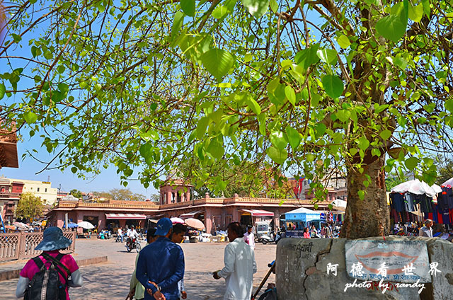 jodhpur3-mandore-palaceD7000 055.JPG jodhpur3-mandore-palaceD7000 055.JPG