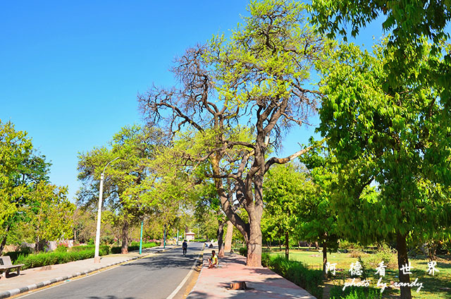 jodhpur3-mandore-palaceD7000 002.JPG