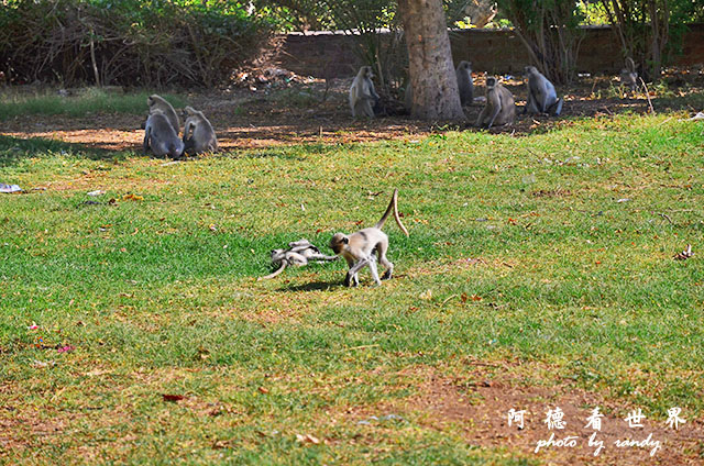 jodhpur3-mandore-palaceD7000 004.JPG jodhpur3-mandore-palaceD7000 004.JPG