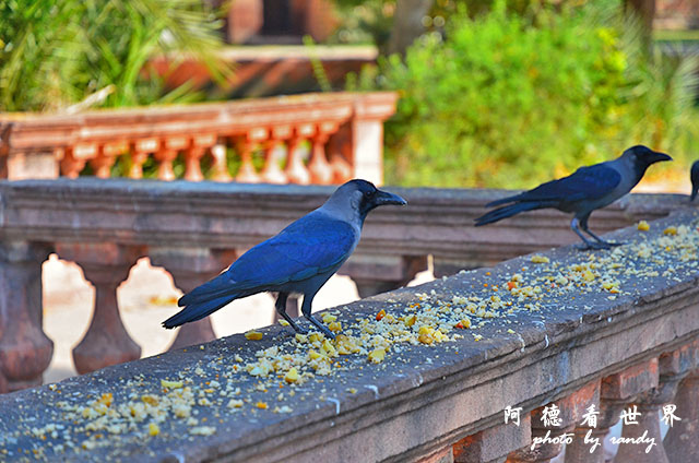 jodhpur3-mandore-palaceD7000 009.JPG jodhpur3-mandore-palaceD7000 009.JPG