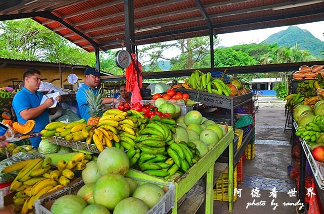 panama4D7000 004.JPG panama4D7000 004.JPG