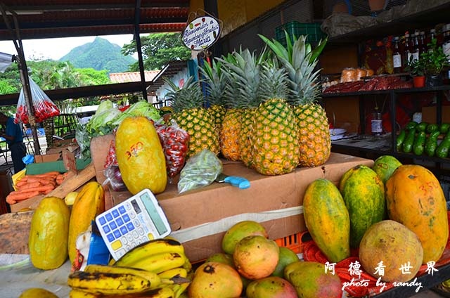 panama4D7000 005.JPG panama4D7000 005.JPG