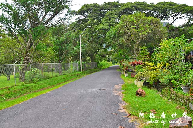 panama4D7000 014.JPG panama4D7000 014.JPG