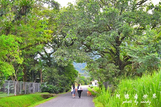 panama4D7000 032.JPG panama4D7000 032.JPG