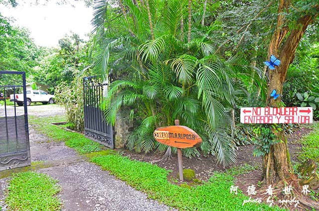 panama4D7000 051.JPG panama4D7000 051.JPG