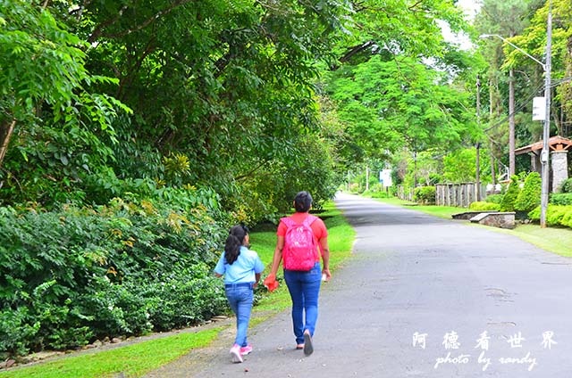 panama4D7000 064.JPG panama4D7000 064.JPG