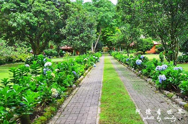 panama4D7000 069.JPG panama4D7000 069.JPG