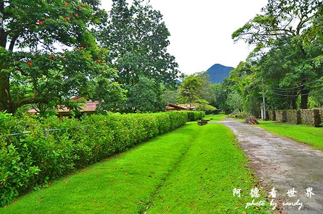 panama4D7000 074.JPG panama4D7000 074.JPG