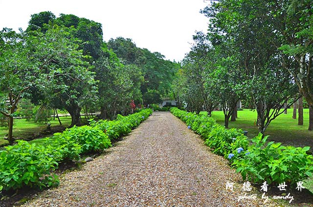 panama4D7000 075.JPG panama4D7000 075.JPG