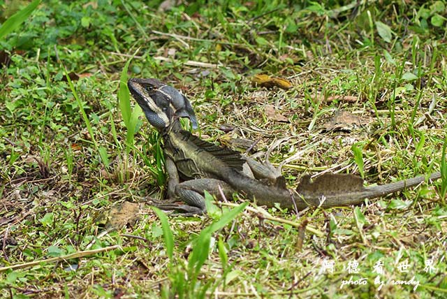 panama4FZ200 (33).JPG panama4FZ200 (33).JPG