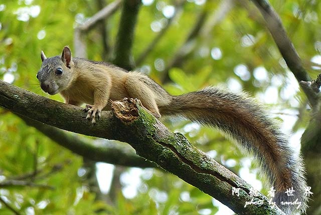 panama4FZ200 (95).JPG panama4FZ200 (95).JPG