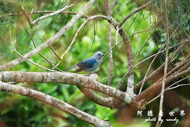 panama4FZ200 (117).JPG panama4FZ200 (117).JPG