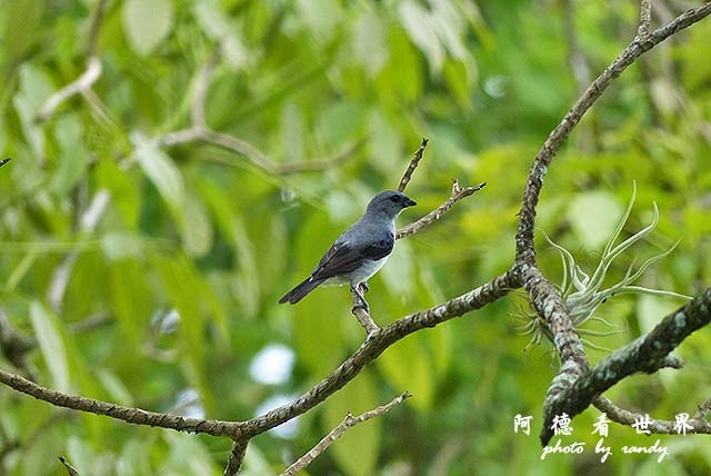 panama4FZ200 (126).JPG panama4FZ200 (126).JPG